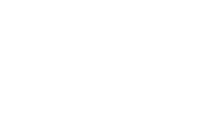 Stella Acquisitions logo